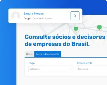 Consulta Sócio e Decisor